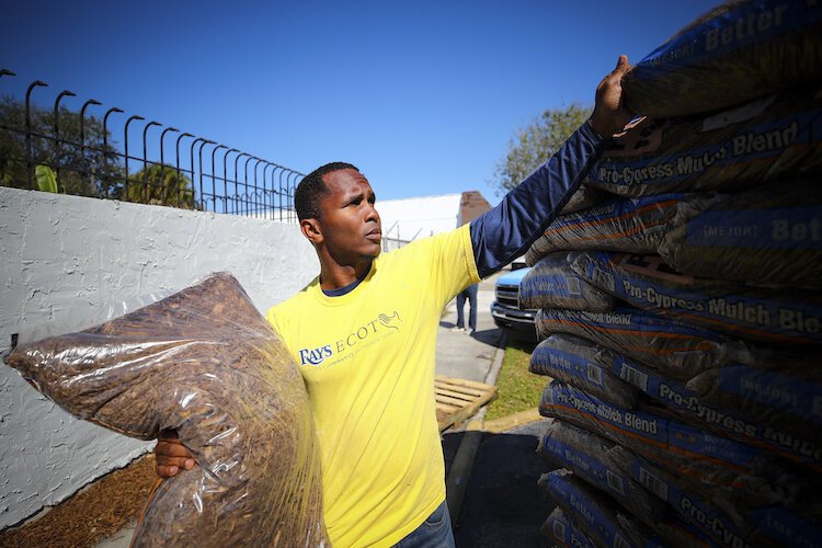 Rays staff and community volunteers paint, plant and revitalize an office building and surrounding streetscape at the Dr. David T. Welch Center for Progress & Community Development in St. Petersburg, FL on February 28, 2020.