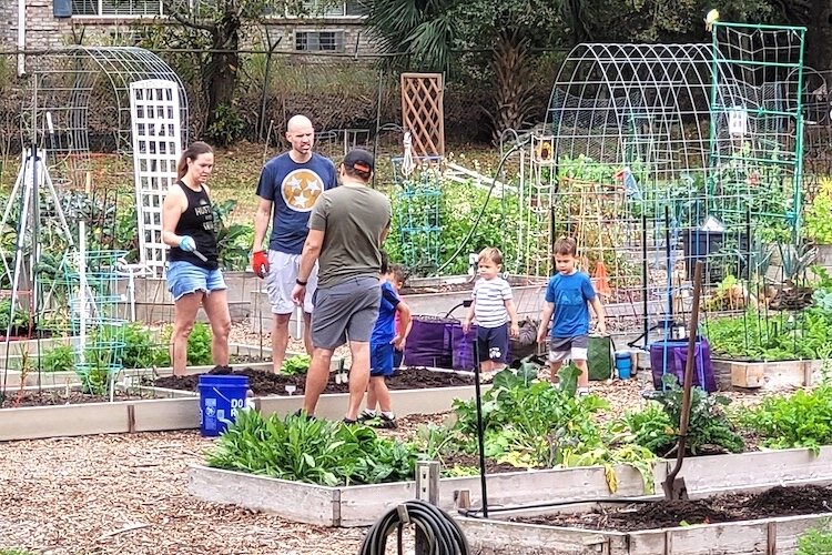 Organic gardening has become a family experience and a chance to meet others who enjoy tilling the soil.