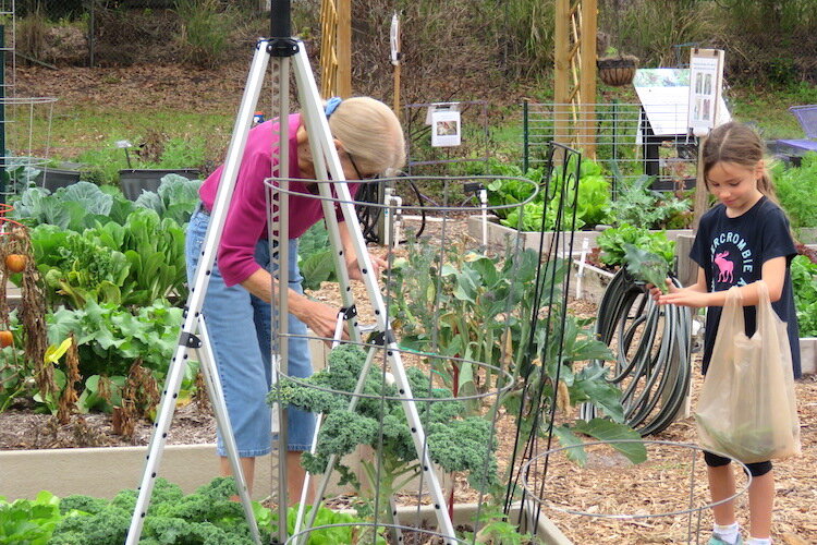 Intergenerational gardening is a common sight at the gardens.