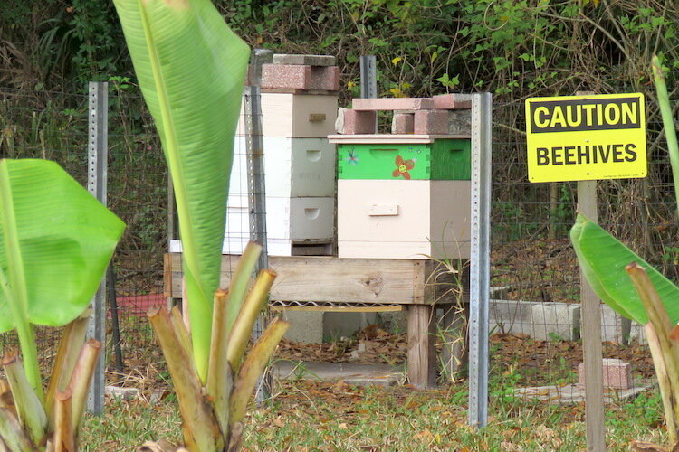 The garden’s apiary is home to the honeybees that pollinate the flowers, vegetables and fruit.