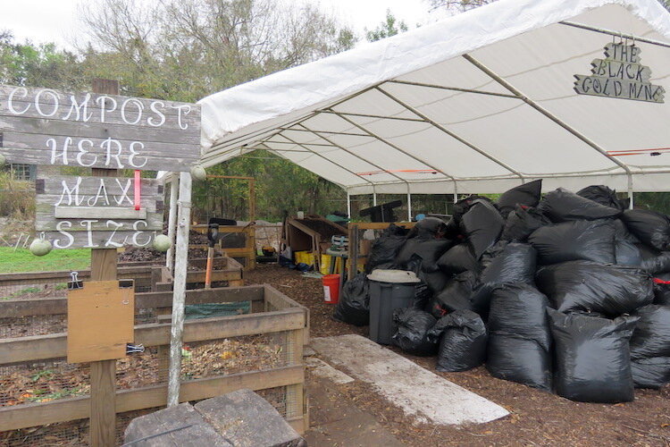 Composting aging fruits and vegetables contributes to the garden’s success by enriching the soil.