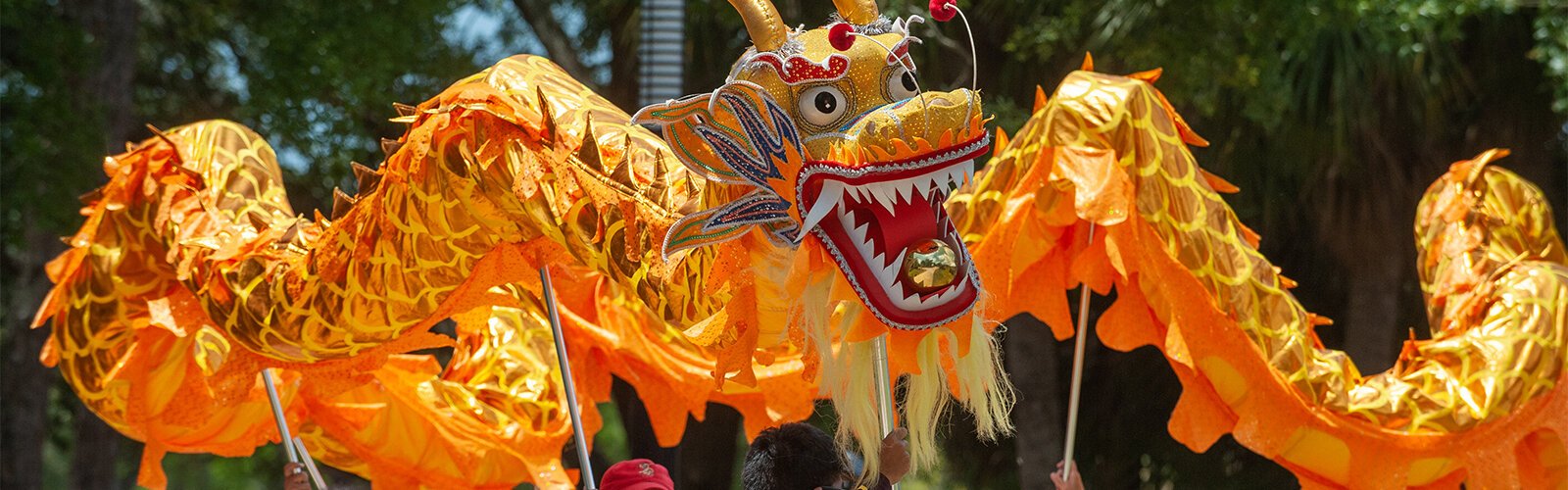 The Suncoast Asian Cultural Association (SACA) performs a Dragon Dance at the start of the Multicultural Family Day event in Tampa.