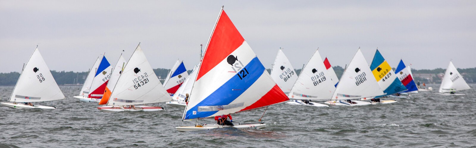 Colorful sails and salty mist combine to make sailing an adventure on inland bays from Tampa to Sarasota to Clearwater.