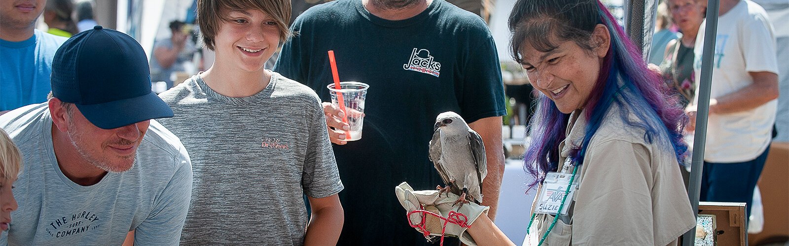 Susie Messenger shows off a Kite to a crowd at the educational display at The Market Marie in Clearwater on Saturday. “McGough Nature Park at The Narrows” takes care of this bird after it had been shot.