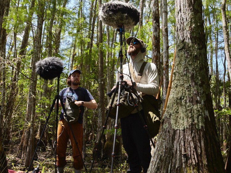 Artist Todd MacIntire and his team spent days moving to different locations in Everglades National Park to capture the sounds for The World Within. 