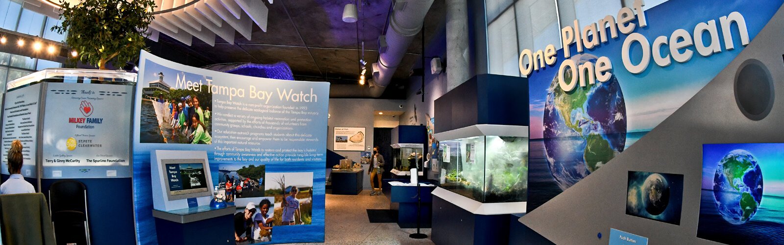 A Discovery Center and wet classroom operated by Tampa Bay Watch are attractions that make the Pier District both fun and educational.