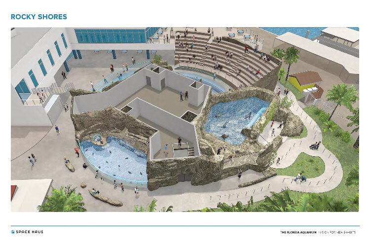 The Florida Aquarium's three-phase, $40 million expansion will culminate in 2025 with the construction of outdoor habitat and exhibit space for penguins and sea lions.