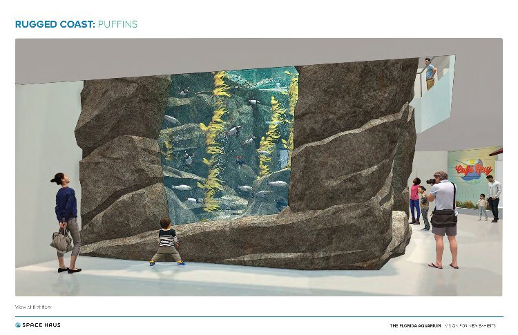 The Florida Aquarium two-story "Rugged Coast" exhibit will have a 15-foot deep tank to accommodate cliff-diving puffins.