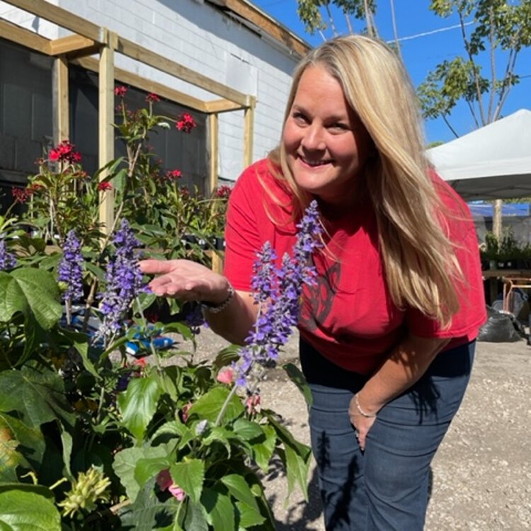  Anita Camacho inspects a purple salvia, one of the native butterfly plants in her nursery.