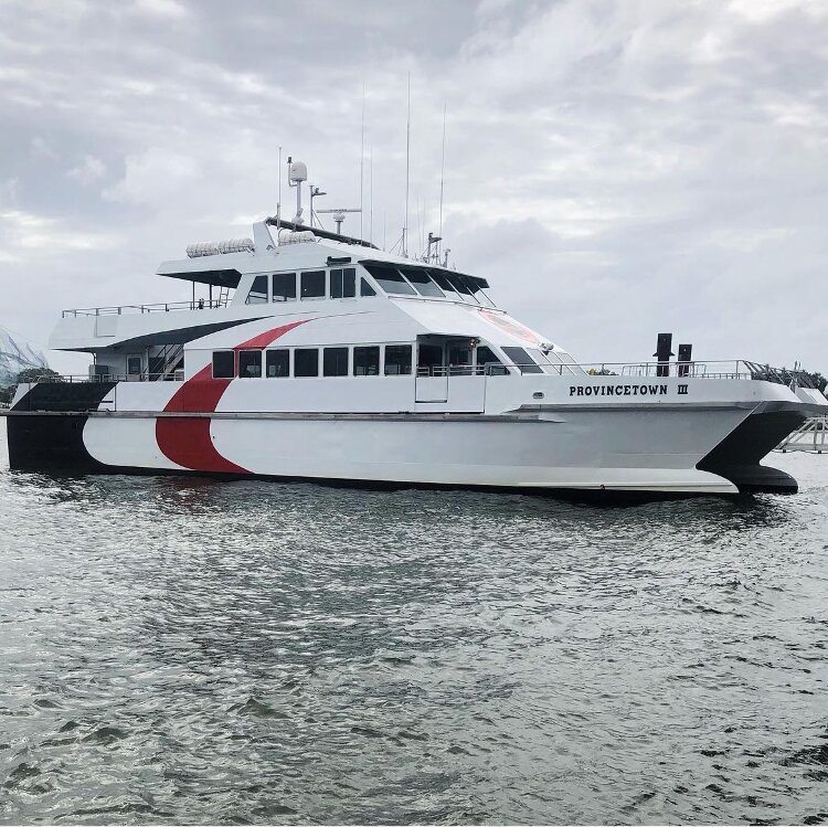 The Cross-Bay Ferry has launched its sixth season connecting downtown Tampa and downtown St. Pete.