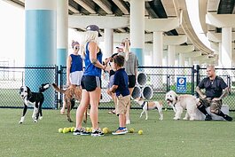 The Deputy Kotfila Memorial Dog Park in the Channel District is an example of THEA's efforts to activate public space under the Selmon Expressway.