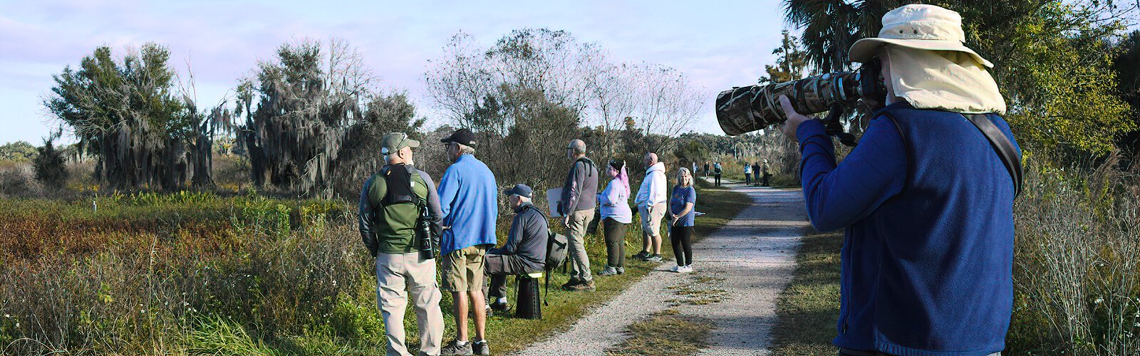 Circle B Bar Reserve is widely enjoyed by photographers and birders for its variety of migrant and resident birds. In 2008, the reserve was added to the Great Florida Birding Trail.