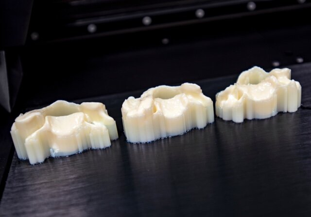  3D-printed vertebrae