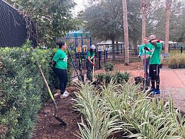 Tampa's Green Team is an environmental stewardship service work program launched in collaboration with AmeriCorps and Volunteer Florida.