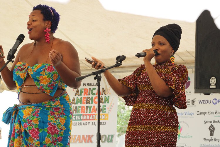 The Pinellas African American Heritage Festival at Pinewood Cultural Park featured music, dance, poetry, art and local Black-owned small businesses and restaurants.