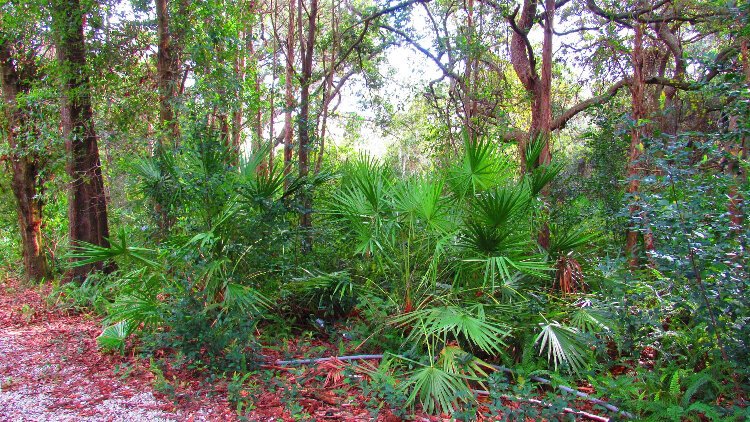 A grassroots community effort to purchase the late Gladys Douglas' homestead for a nature preserve grew to include environmental groups, charitable organizations and local governments.