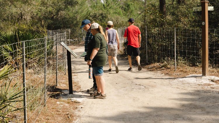 Saved from development, Dunedin's Gladys E. Douglas Preserve offers visitors a journey into vanishing natural Florida, including the largest undeveloped sandy ecosystem in north Pinellas.