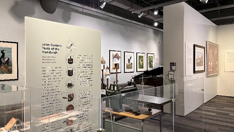 "Etched Feathers" at the Tampa Bay History Center showcases Tampa artist John Costin's bird portraits and his collection of antique prints in a journey through the history of bird art and printmaking.