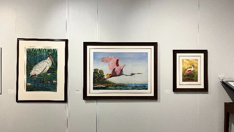 John Costin's prints capture images of Florida's iconic birds.