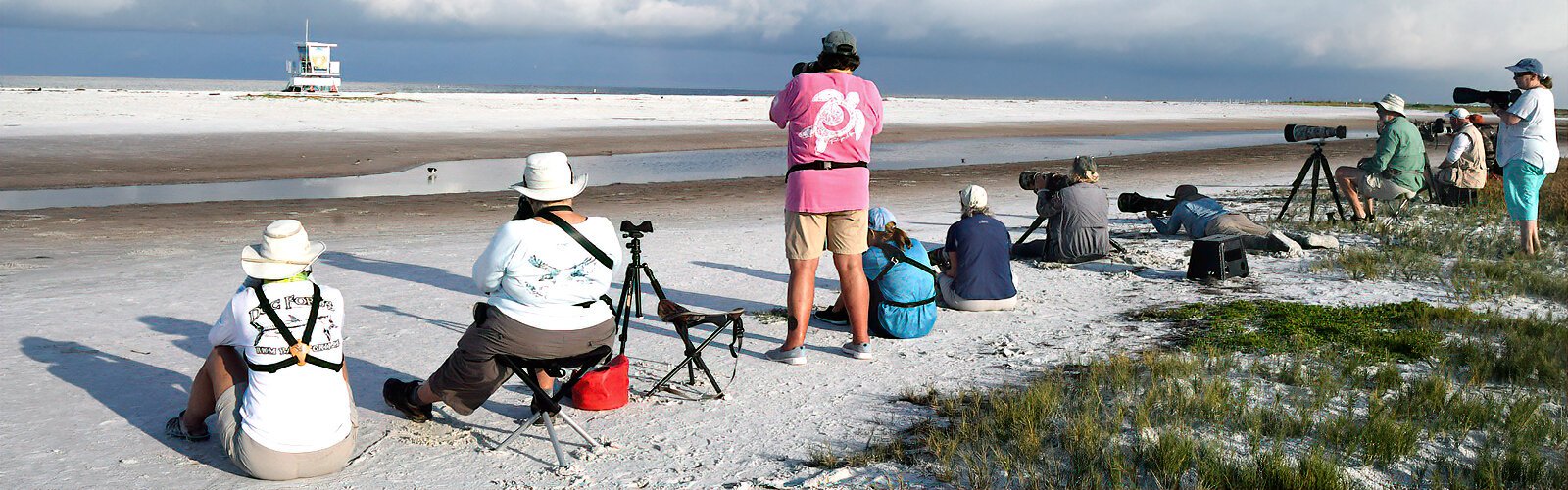 These photographers give American oystercatchers and their chicks space to forage without stress. Audubon’s Guide to Ethical Bird Photography is a useful resource to consult for how to photograph nesting birds without disturbing them.