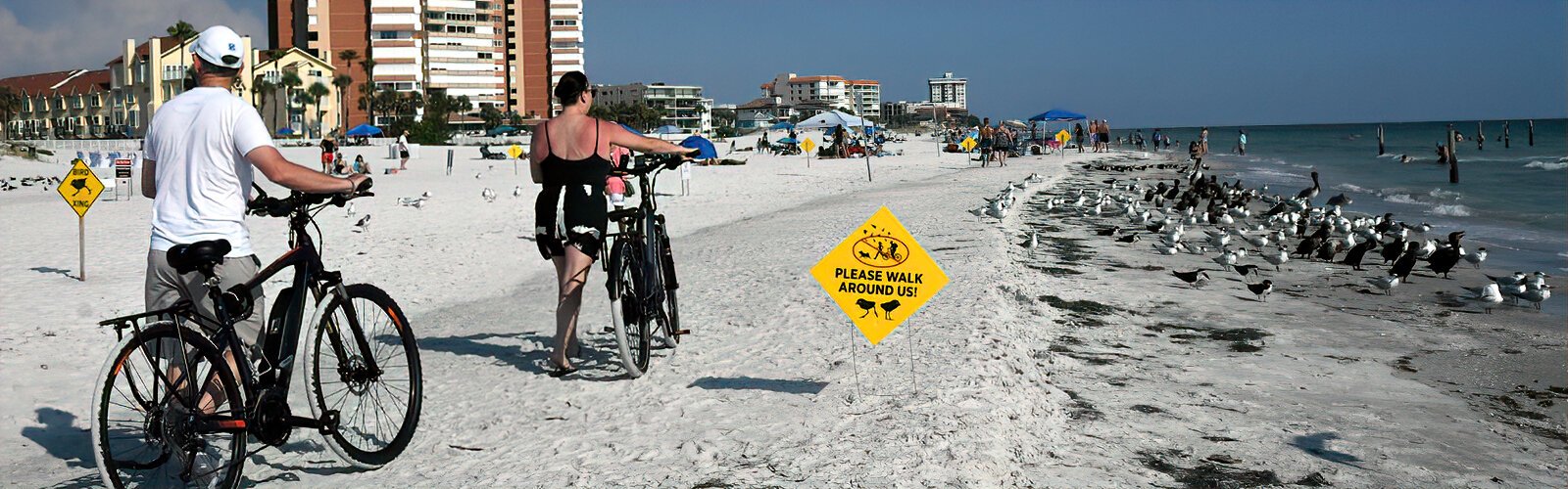 Mindful of the sign to walk around shorebirds, two bikers walk their bicycles, being careful not to flush the birds resting by the shoreline.