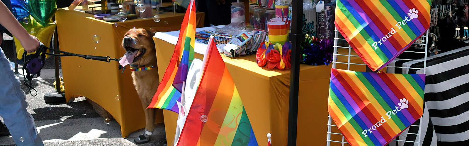 his boot-wearing pooch knew exactly where to find shade and "Proud Pet" memorabilia.