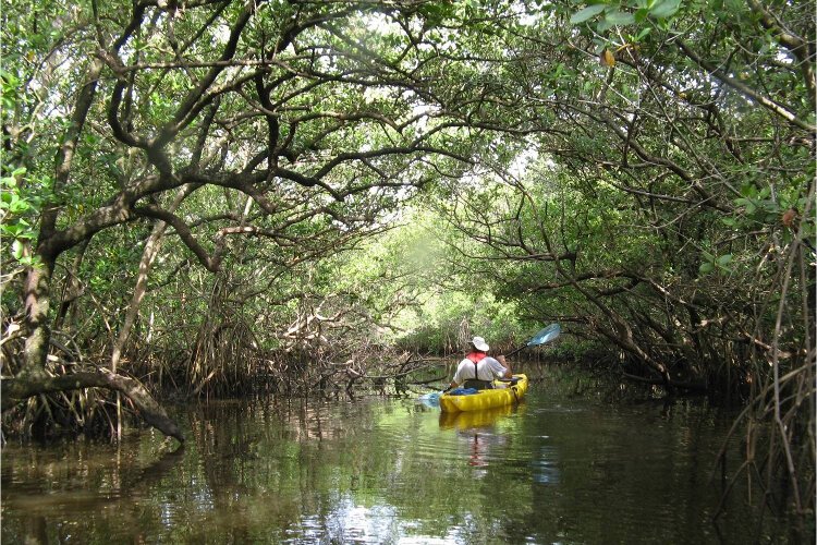 The seventh annual Florida Birding and Nature Festival will feature trips venturing out into birding hot spots.