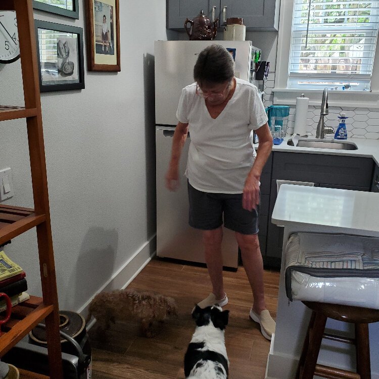 Living in a cottage on the property of her daughter's Seminole Heights home, Sue Jenkins is able to spend time with family and the family dogs.
