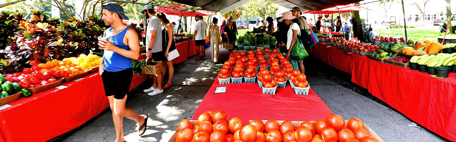 Plenty of fresh produce straight from the farm, plants, flowers, prepared and ready-to-eat food and handmade crafts are available at the Saturday Morning Market in the heart of St. Pete.