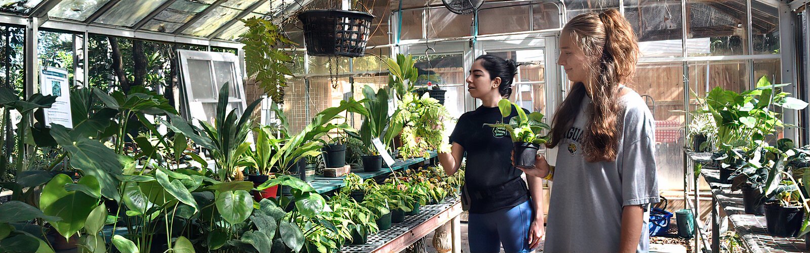 Luana and Maddie pick some favorite plants at the USF Bull Bash plant market to decorate their dorm room at USF in Tampa.