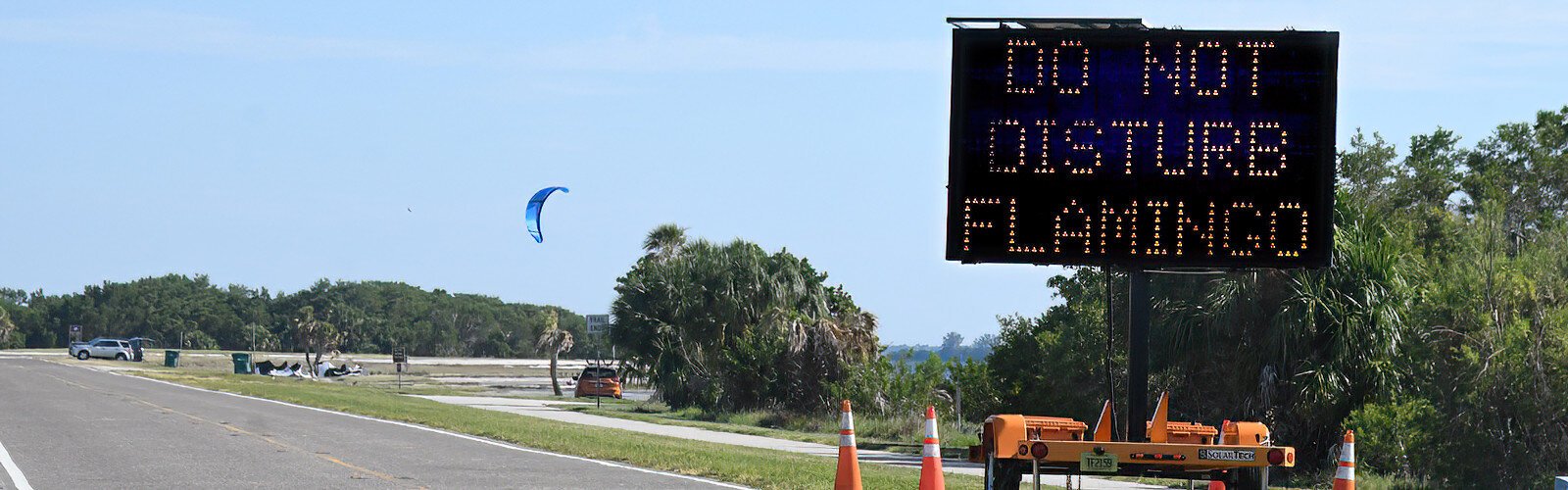 Because of the number of curious people chasing after Peaches and not respecting a  proper distance, the park had to put up a huge sign that scrolls “Do not disturb flamingo – Do not disturb wildlife – Stay 300 feet away”.