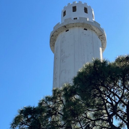 The River Tower Festival raises money and awareness for the repair and restoration of the Sulphur Springs Water Tower.