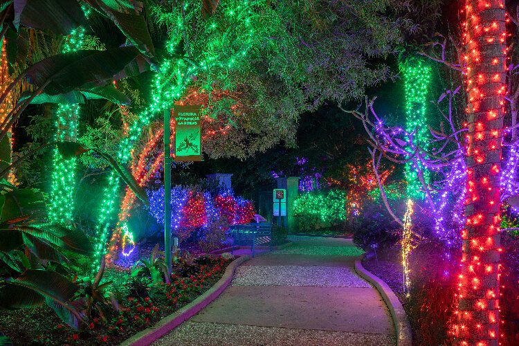 Holiday Lights in the Gardens returns to the Florida Botanical Gardens in Largo from November  24th through December 31st.