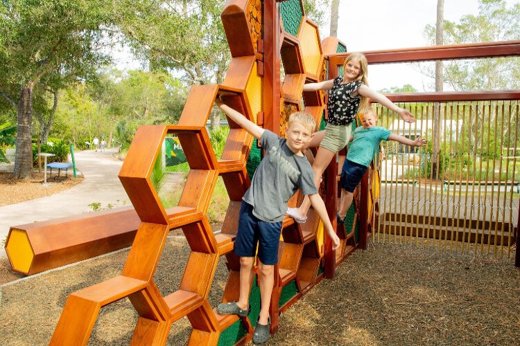 The "pollinator landing" at the Florida Botanical Gardens' Majeed Discovery Garden is a honeycomb-shaped climbing feature for children.