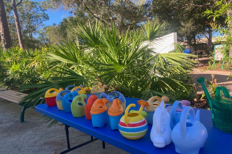 Colorful watering cans are at the ready for children to use during the November 4th opening of the Florida Botanical Gardens' Majeed Discovery Garden.