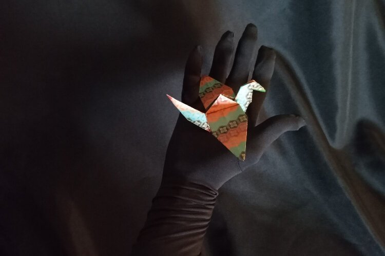 Sarasota artist Babs Vitale brings an eight-minute interactive performing arts experience that includes origami art and music to the Whinge! Festival.