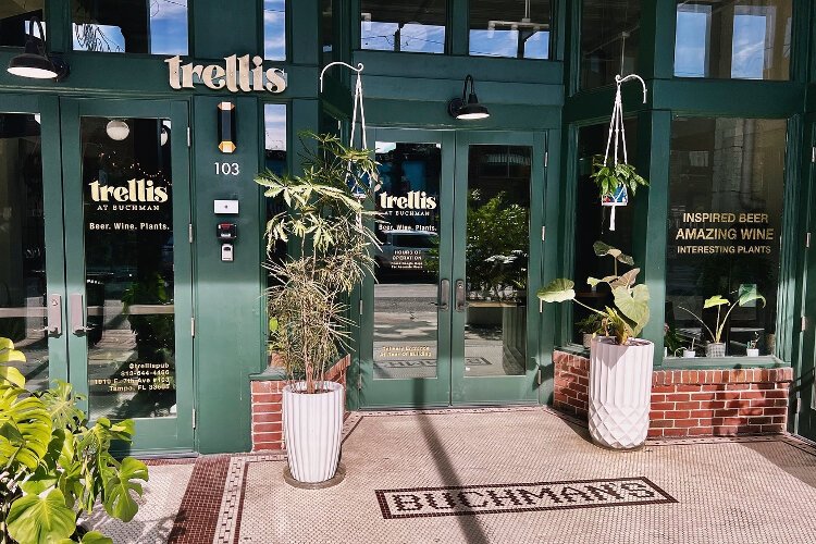 Beer and wine bar Trellis at Buchman opened in 2023  in The Buchman, a circa 1908 former department store building Casa Ybor has renovated.