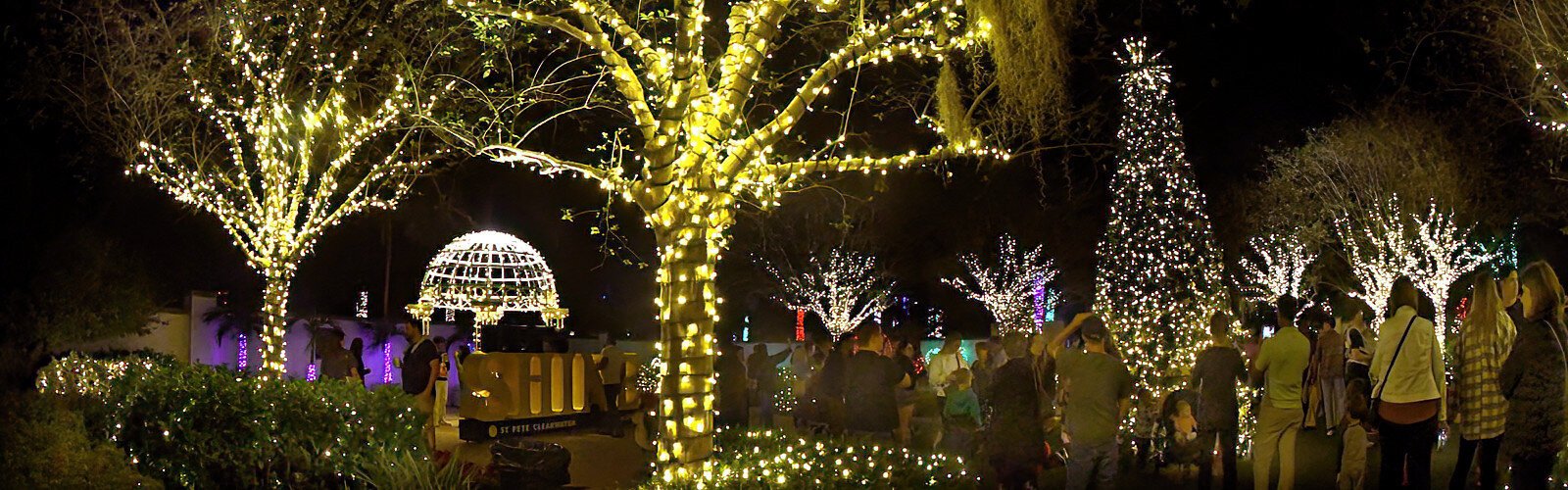  Holiday Lights in the Gardens welcomes evening visitors to the Florida Botanical Gardens in Largo through December 31st.