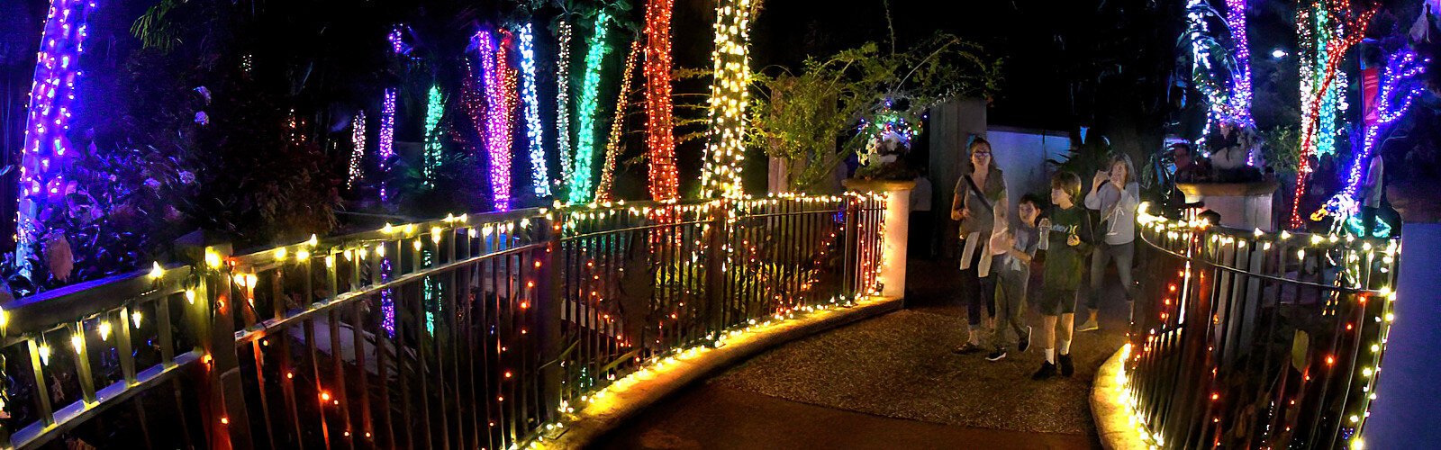 Thousands of multicolored LED lights provide a magical setting at the Florida Botanical Gardens Holiday Lights in the Gardens in Largo this December.