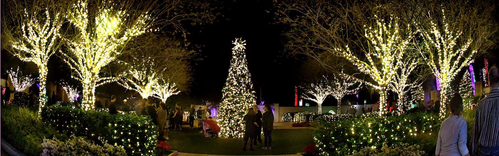 Sponsored by the Florida Botanical Gardens Foundation, this family-friendly event offers amazing lighting displays as well as nightly entertainment and visits from Santa.