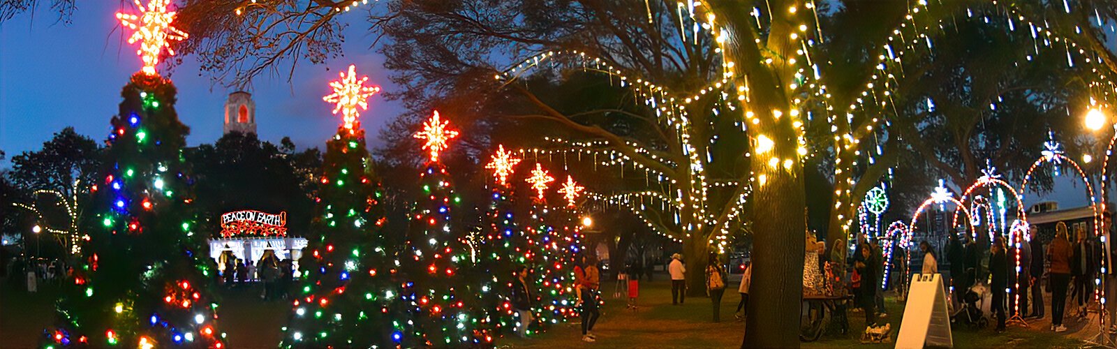Filled with music, art, interactive displays, theater and dance, North Straub Park is also a dazzling show of festive lights during this 30th annual First Night St Petersburg.