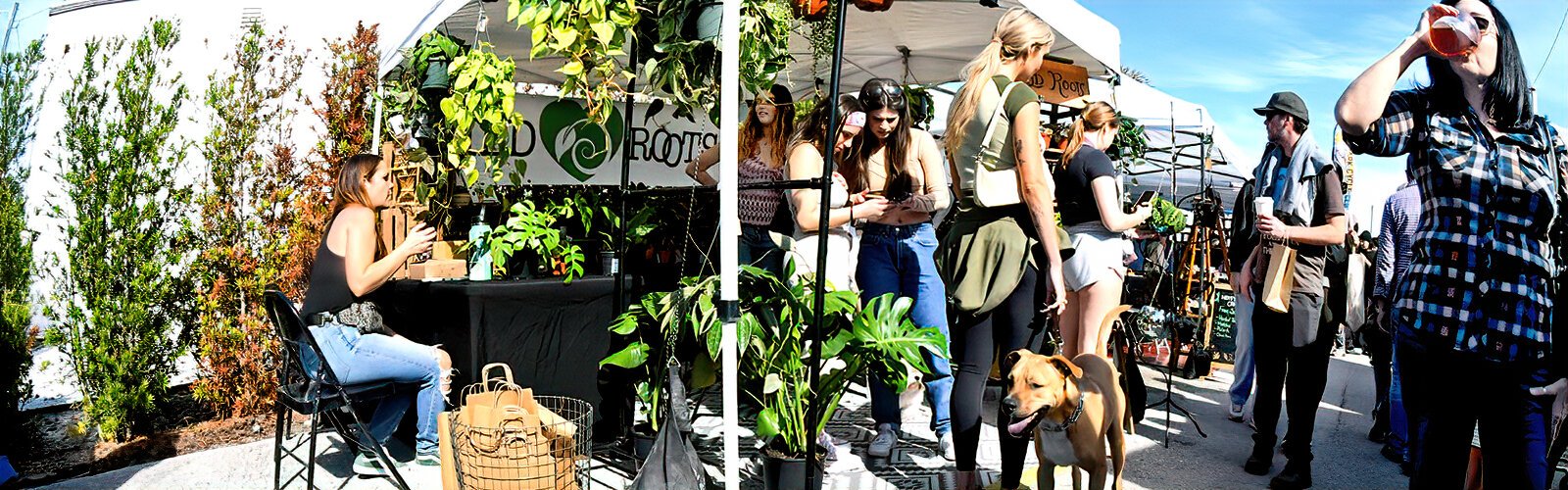 The Wild Roots plant haven is present at the Indie Flea, helping people to add more green to their lives with a botanical selection of houseplants, succulents and tropicals.
