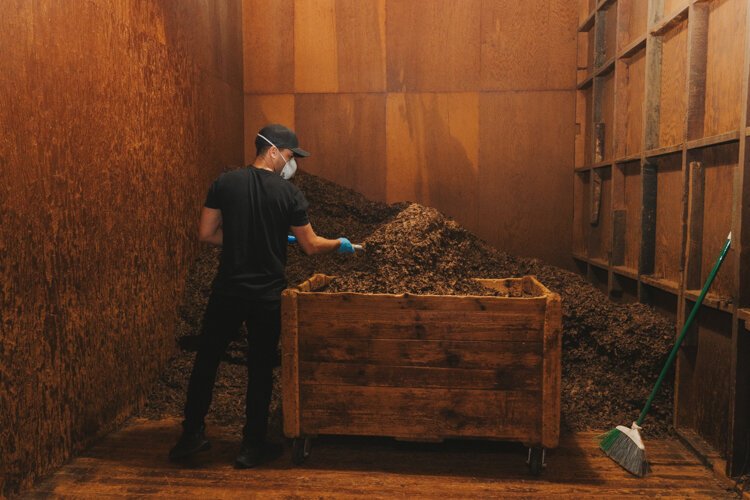 A J.C. Newman worker shovels tobacco at the El Reloj factory in Ybor City.