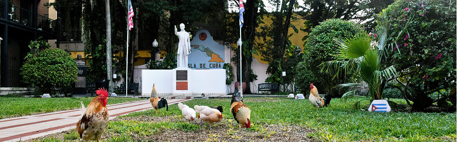 Roosters peck Cuban soil right in Ybor City at the Parque Amigos de Jose Marti (Friends of Jose Marti Park) which has belonged to the Republic of Cuba since 1956.