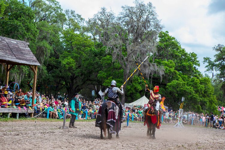 The Bay Area Renaissance Festival's joust area features the crowd-favorite Equus Nobilis. 