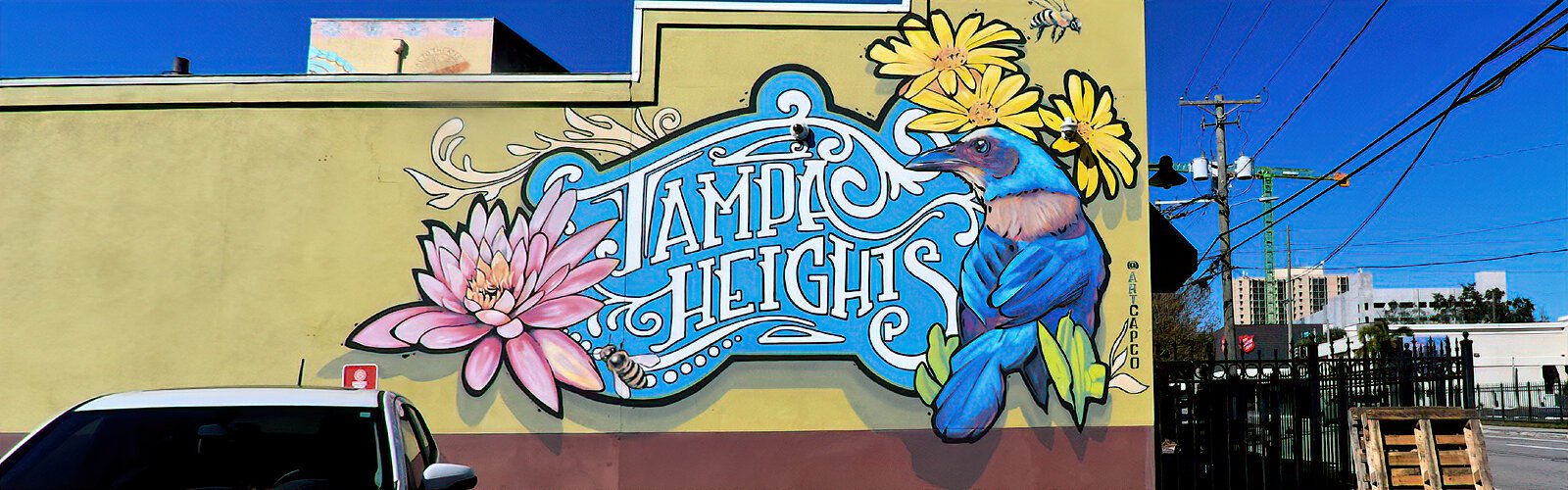 On almost every corner, Tampa Heights abounds with amazing street art like this mural by Artcapco.