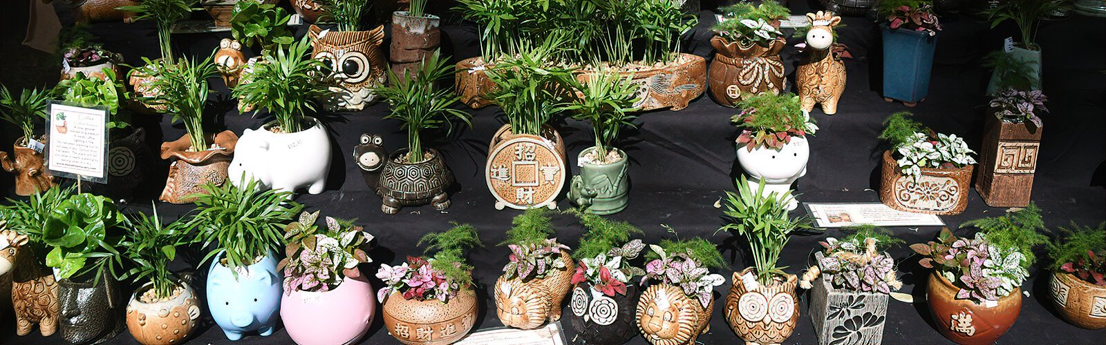 A whimsical plant display at St. Pete's 38th annual Green Thumb Festival.