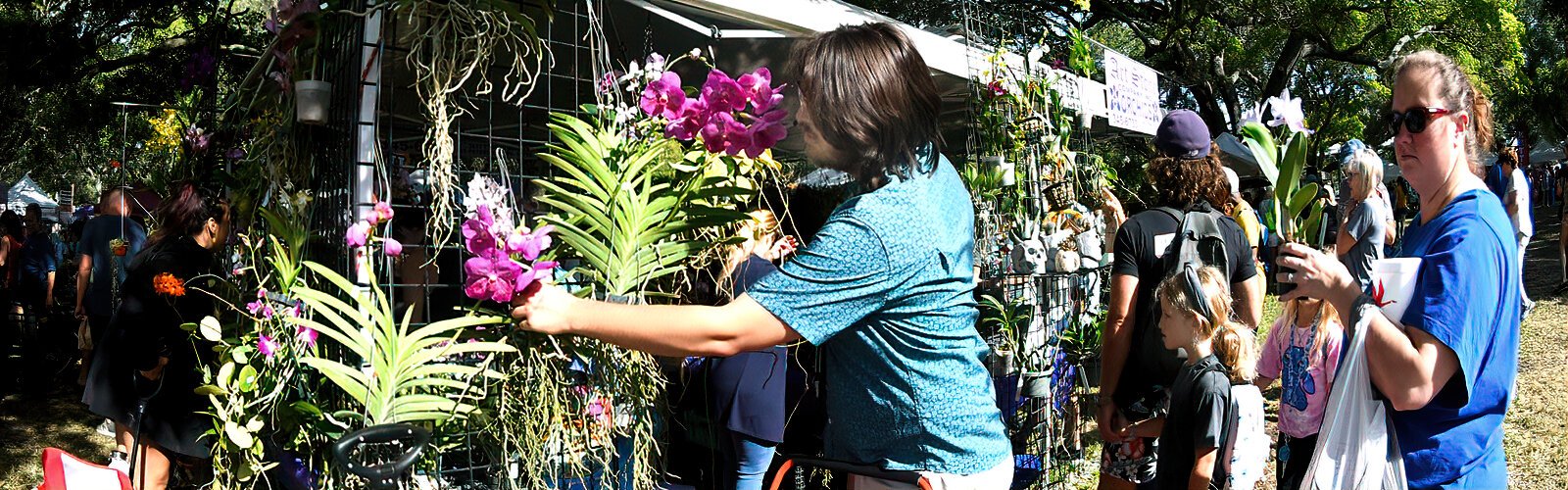 The amount of plants to choose from makes for difficult purchasing decisions at the Green Thumb Festival.