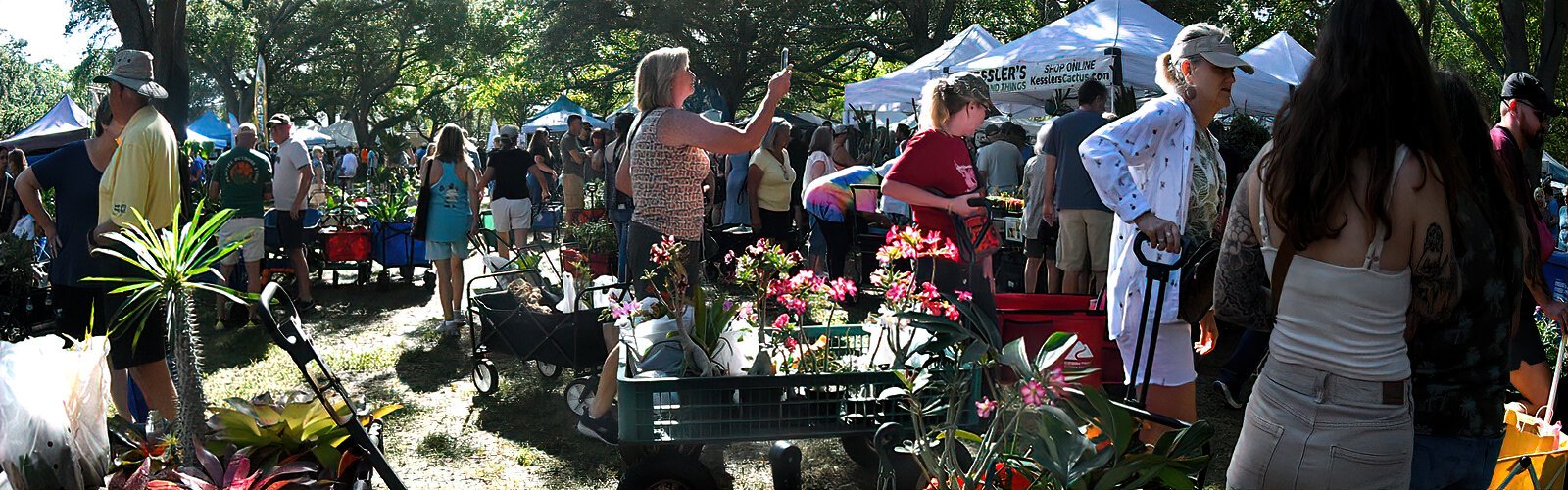 he amount of plants to choose from makes for difficult purchasing decisions at the Green Thumb Festival.