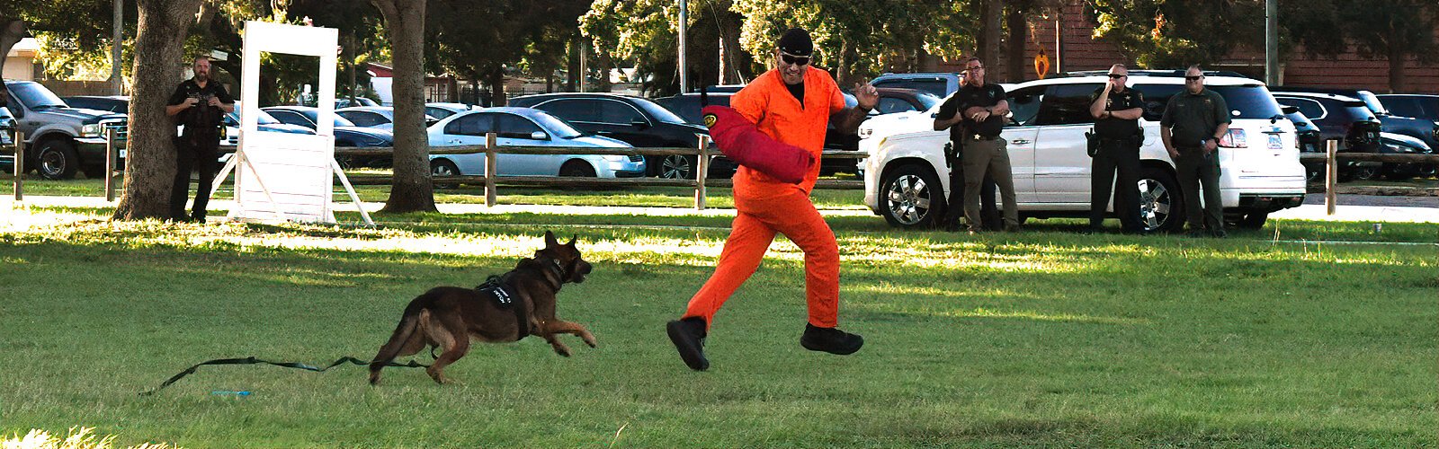 The K-9s receive human-focused aggression training, which they demonstrate during their graduation ceremony in Pinellas Park.